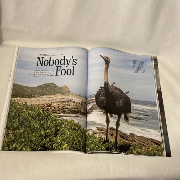 National Geographic September 2020 Meet The Robots Great Lakes'Ice Loss Ostriche - Picture 10 of 11